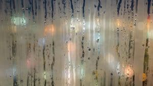 udskiftning punkteret rude pris